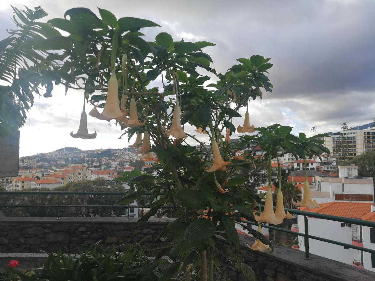 Casa Vanday Funchal  Ngoại thất bức ảnh